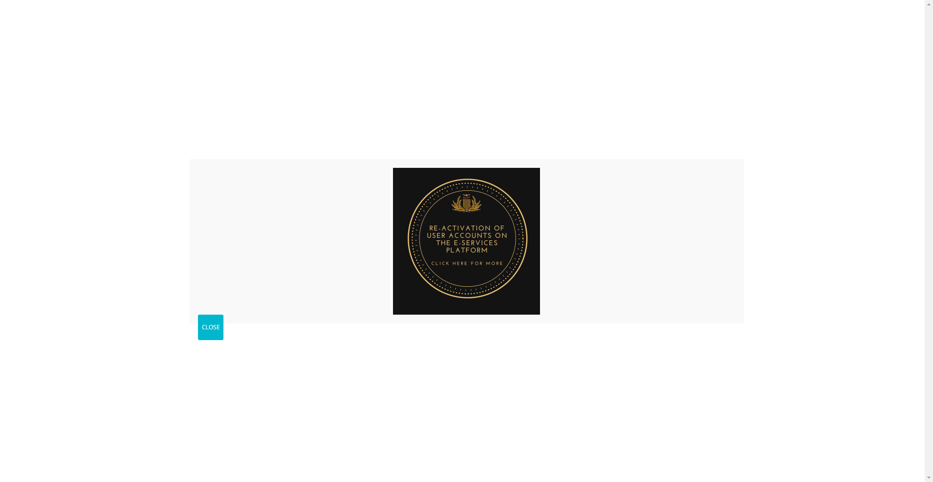 2026赴赞比亚旅游签证全攻略：小二寸照片拍摄避坑指南相关示意图2